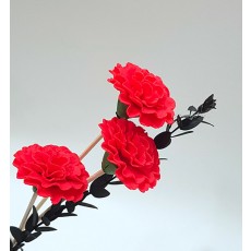 중국황실